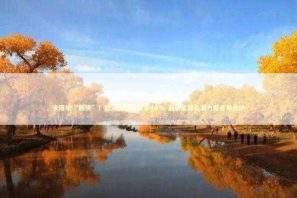 卡塔尔“断供”！欧洲天然气飙涨40% 最新高增长潜力股名单出炉