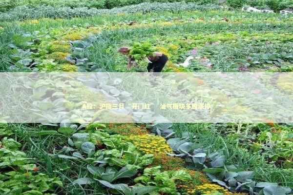 A股：沪指三月“开门红” 油气板块多股涨停