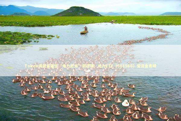 Token调用量催生“电力出海”新逻辑！电力ETF（561560）受资金青睐