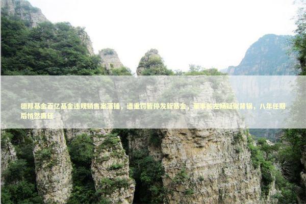 德邦基金百亿基金违规销售案落锤，遭重罚暂停发新基金，董事长左畅疑似背锅，八年任期后悄然离任