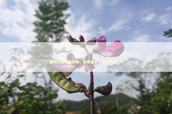 霍尔木兹海峡封锁，日本直面“存亡危机”？