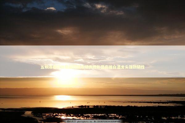 五粮液春节热销超预期市场表现彰显高端白酒龙头强劲韧性