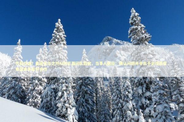 代码抄袭？美团光年之外AI浏览器团队致歉，当事人回应：确认问题并非出于主观恶意，希望未来友好合作