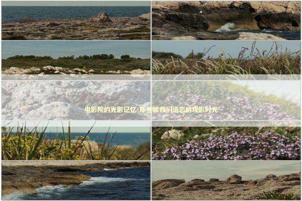 电影院的光影记忆-那些被我们遗忘的观影时光
