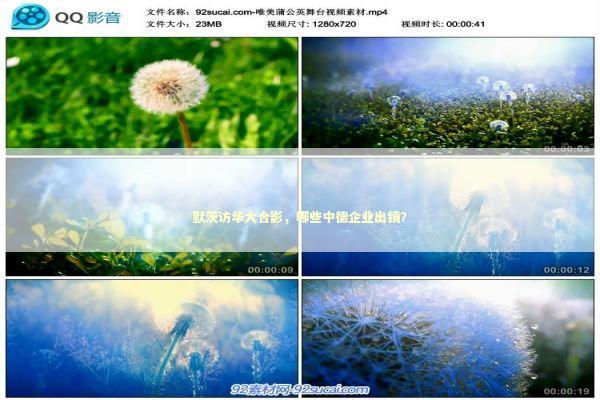 默茨访华大合影，哪些中德企业出镜？