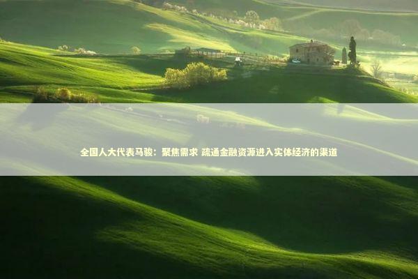 全国人大代表马骏：聚焦需求 疏通金融资源进入实体经济的渠道