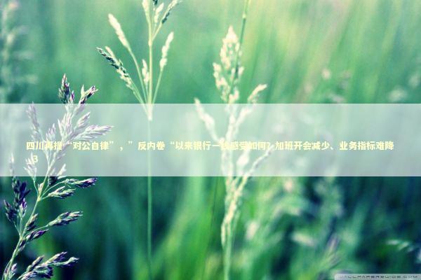 四川再提“对公自律”，”反内卷“以来银行一线感受如何？加班开会减少、业务指标难降_3