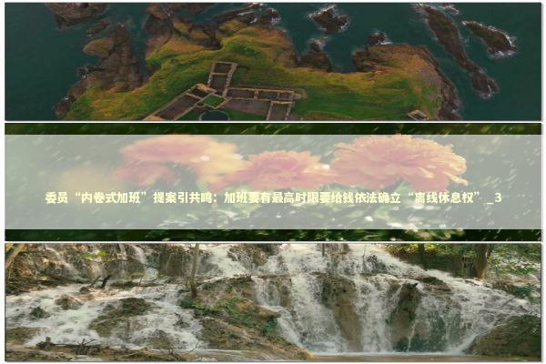 委员“内卷式加班”提案引共鸣：加班要有最高时限要给钱依法确立“离线休息权”_3