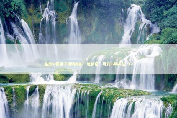 雀巢中国近千经销商的“追债记”引发市场关注_12