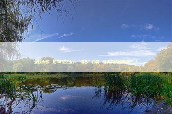 全线大涨！超80亿资金，“借基”扫货！这类投资如何选？_5