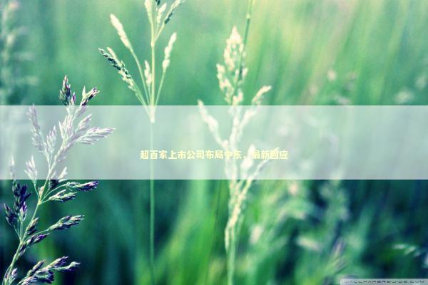 超百家上市公司布局中东，最新回应