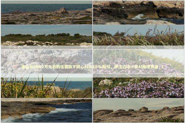 金山云5000万元收购迅雷旗下网心科技20%股权，押注边缘计算AI推理赛道_3