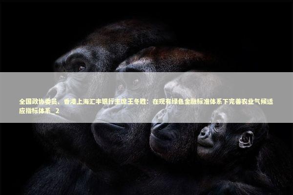 全国政协委员、香港上海汇丰银行主席王冬胜：在现有绿色金融标准体系下完善农业气候适应指标体系_2