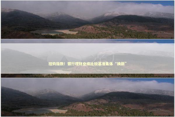 挂钩指数！银行理财业绩比较基准集体“换新”