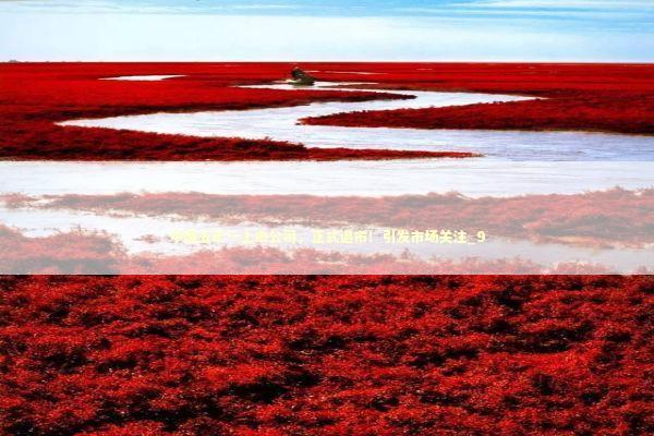 中国五矿一上市公司，正式退市！引发市场关注_9