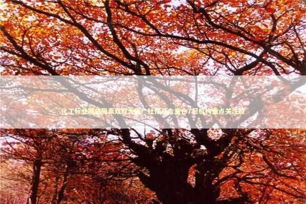 化工行业期货股票双双大涨！社保基金重仓7只机构重点关注股