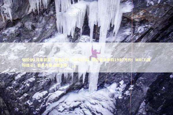 铝价创1月来新高！有色ETF（159876）获资金净申购1980万份！MACD指标提示，做多力量占据主导！_1