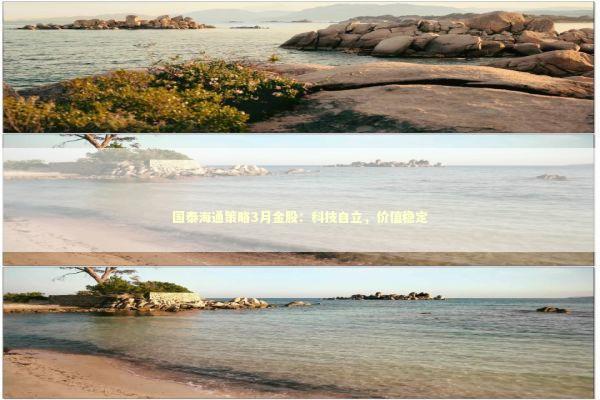 国泰海通策略3月金股：科技自立，价值稳定