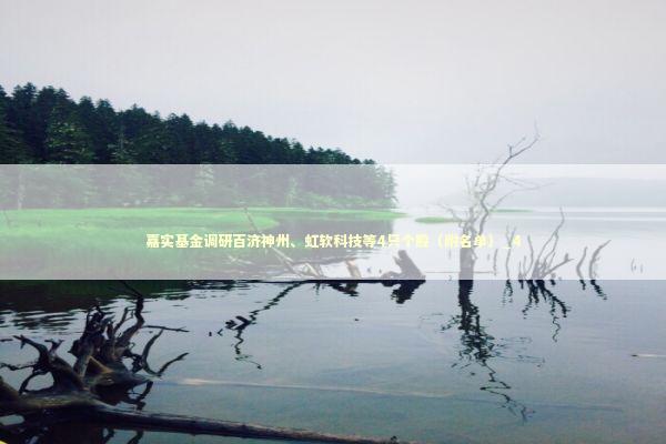 嘉实基金调研百济神州、虹软科技等4只个股（附名单）_4