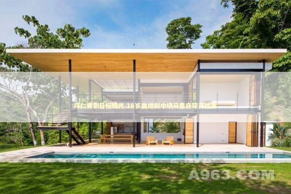 拜仁青训目标曝光 16岁奥地利中场马里奇球员档案