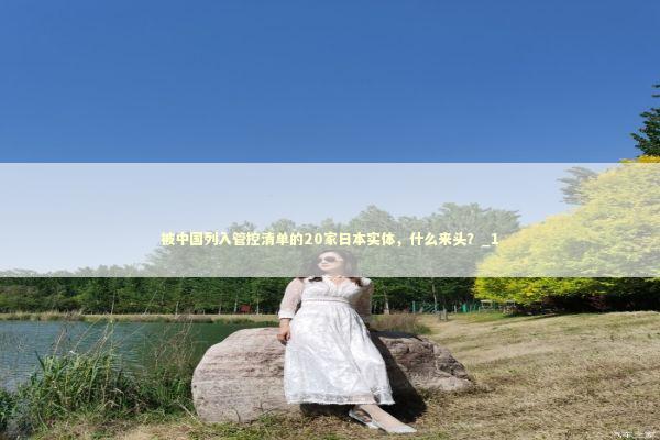 被中国列入管控清单的20家日本实体，什么来头？_1