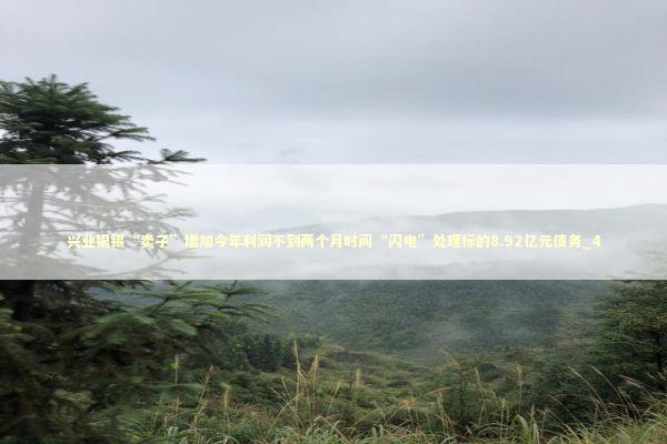 兴业银锡“卖子”增加今年利润不到两个月时间“闪电”处理标的8.92亿元债务_4