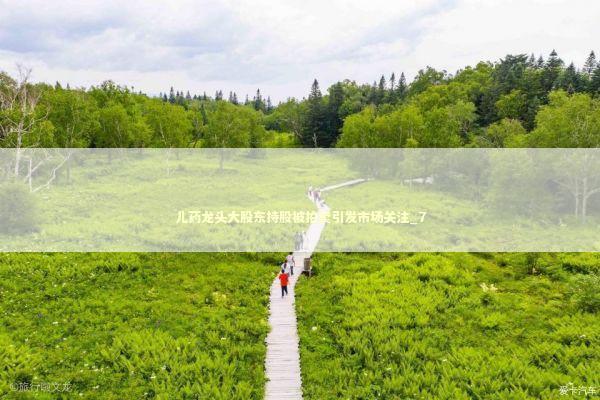 儿药龙头大股东持股被拍卖引发市场关注_7