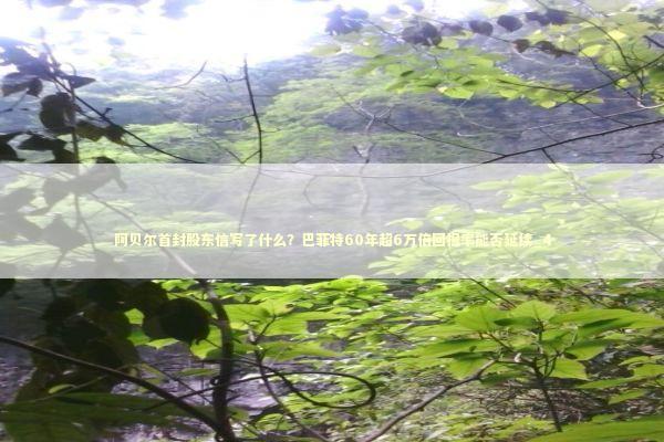 阿贝尔首封股东信写了什么？巴菲特60年超6万倍回报率能否延续_4