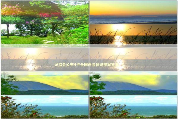 证监会公布4件全国两会建议提案答复_4