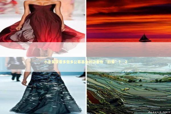 小金属获看多做多公募基金何以重拾“旧爱”？_2