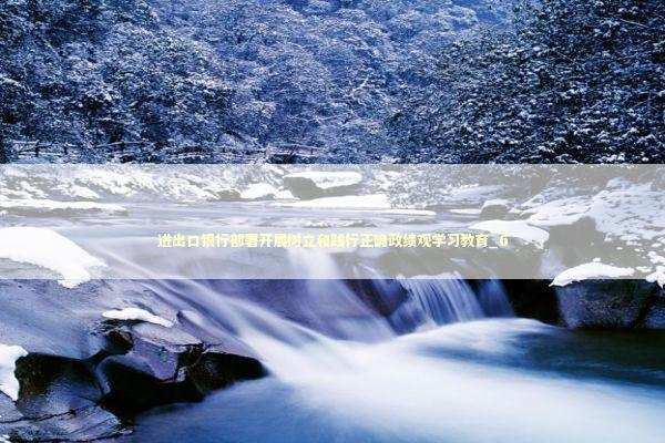 进出口银行部署开展树立和践行正确政绩观学习教育_6