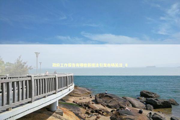 政府工作报告有哪些新提法引发市场关注_8