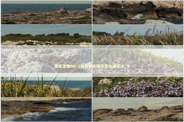 君实生物PD-1销售额大增引发市场关注_8