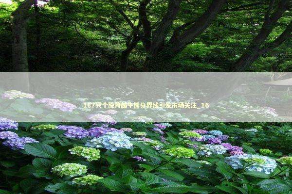 187只个股跨越牛熊分界线引发市场关注_16