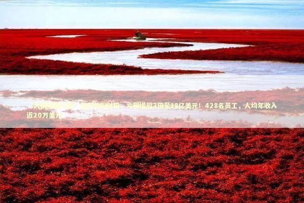 “大模型第二股”发布首份财报，亏损增超3倍至18亿美元！428名员工，人均年收入近20万美元