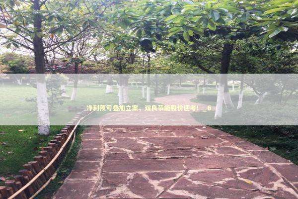 净利预亏叠加立案，双良节能股价迎考！_6