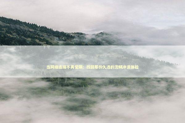当网络连接不再受限：找回那份久违的流畅冲浪体验