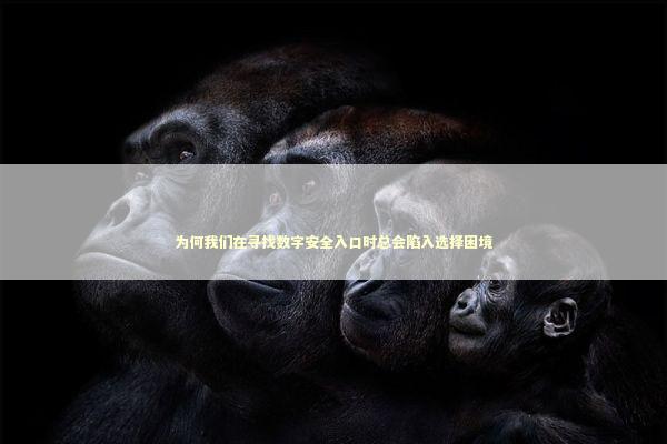 为何我们在寻找数字安全入口时总会陷入选择困境