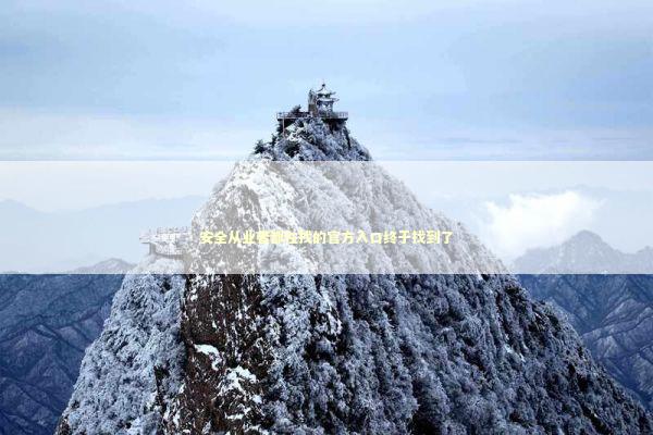 安全从业者都在找的官方入口终于找到了 安全从业者都在找的官方入口终于找到了 IT技术