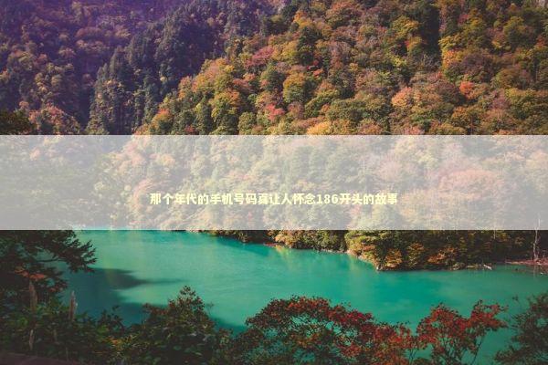 那个年代的手机号码真让人怀念186开头的故事 IT技术