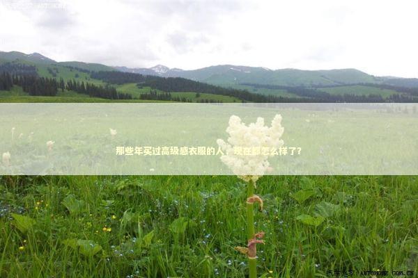那些年买过高级感衣服的人，现在都怎么样了？ 时尚用品