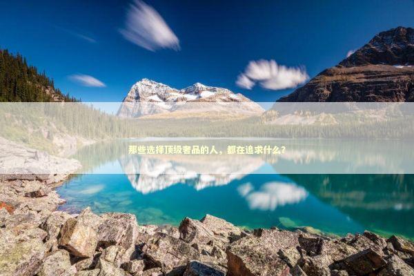 那些选择顶级奢品的人，都在追求什么？ 时尚用品